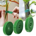thumbnail image 2 of Leyfeng 3 Pcs Straps, Green Plant Strapping, Velcro Strapping, Velcro For Fixing, 10MM X 2M, 2 of 9
