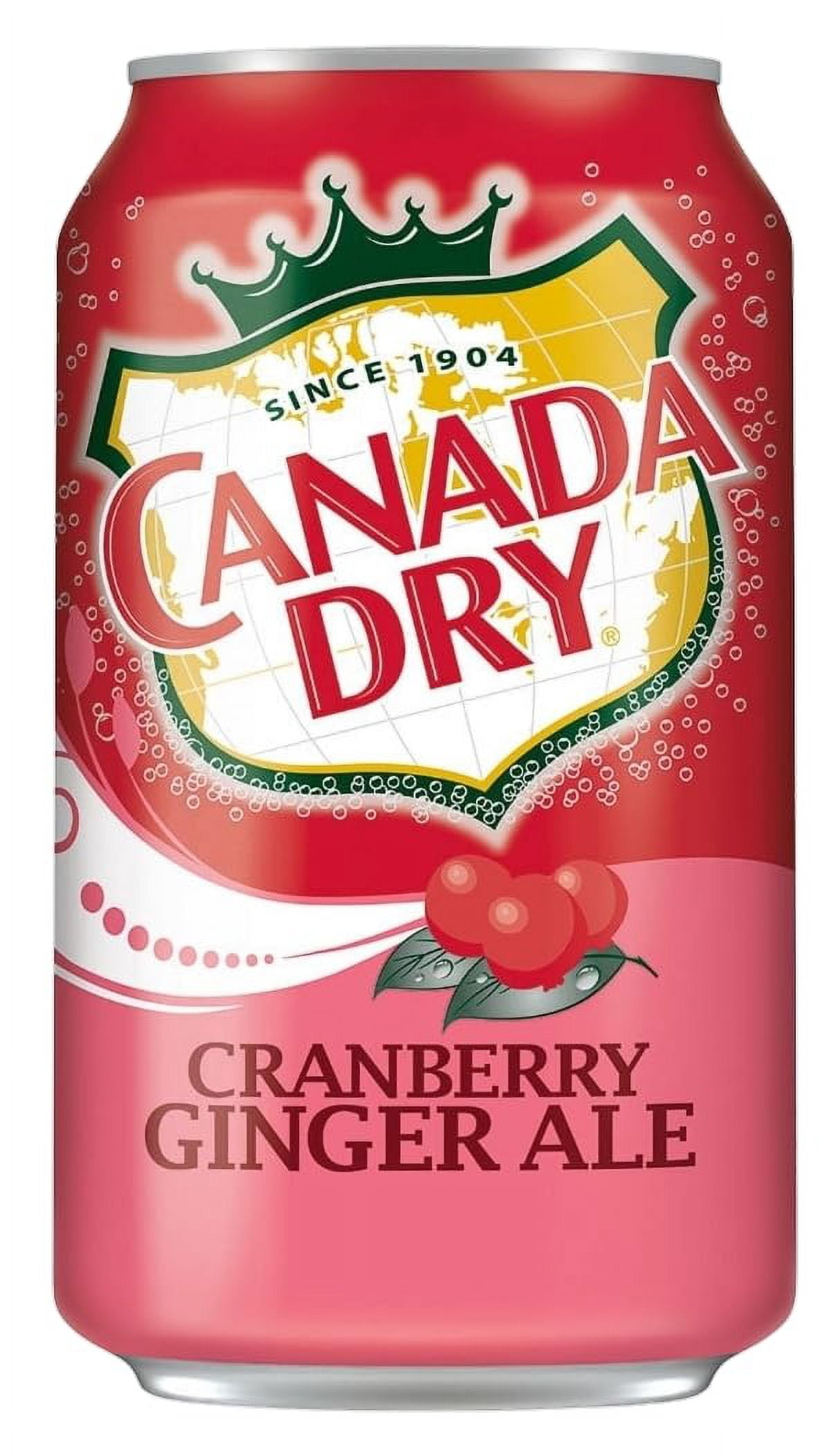 Dry Cranberry Ale Soda, 12 Fl Oz, 15 Cans (Cranberry)