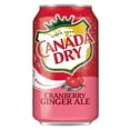 thumbnail image 4 of Dry Cranberry Ale Soda, 12 Fl Oz, 15 Cans (Cranberry), 4 of 4