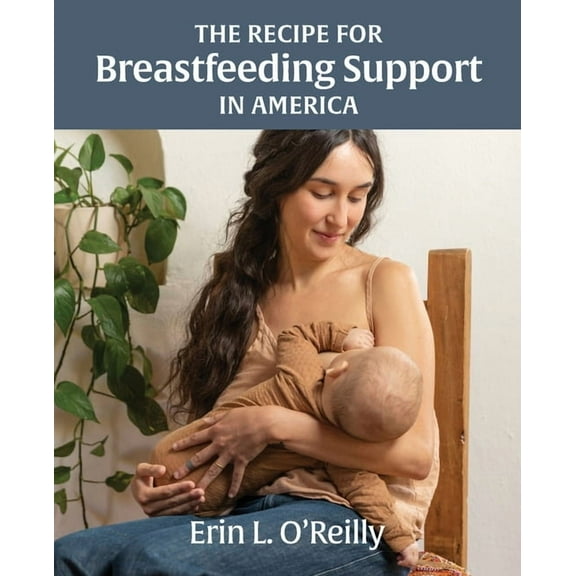The Recipe for Breastfeeding Support in America, (Paperback)