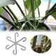 thumbnail image 2 of Soporte para tallos: de plástico, ajustable, para flores/hortalizas, jardín/patio, crecimiento sin roturas, 2 of 7