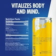 thumbnail image 4 of Red Bull Yellow Edition Energy Drink, Tropical, 80mg Caffeine, 8.4 fl. oz. Can, 4 of 18