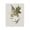 Botanical Magnolia Butterfly Bouquet, variant on Stupell Industries Scandinavian Bumble Bee & Flower Canvas Art, 16 x 20, by House Fenway