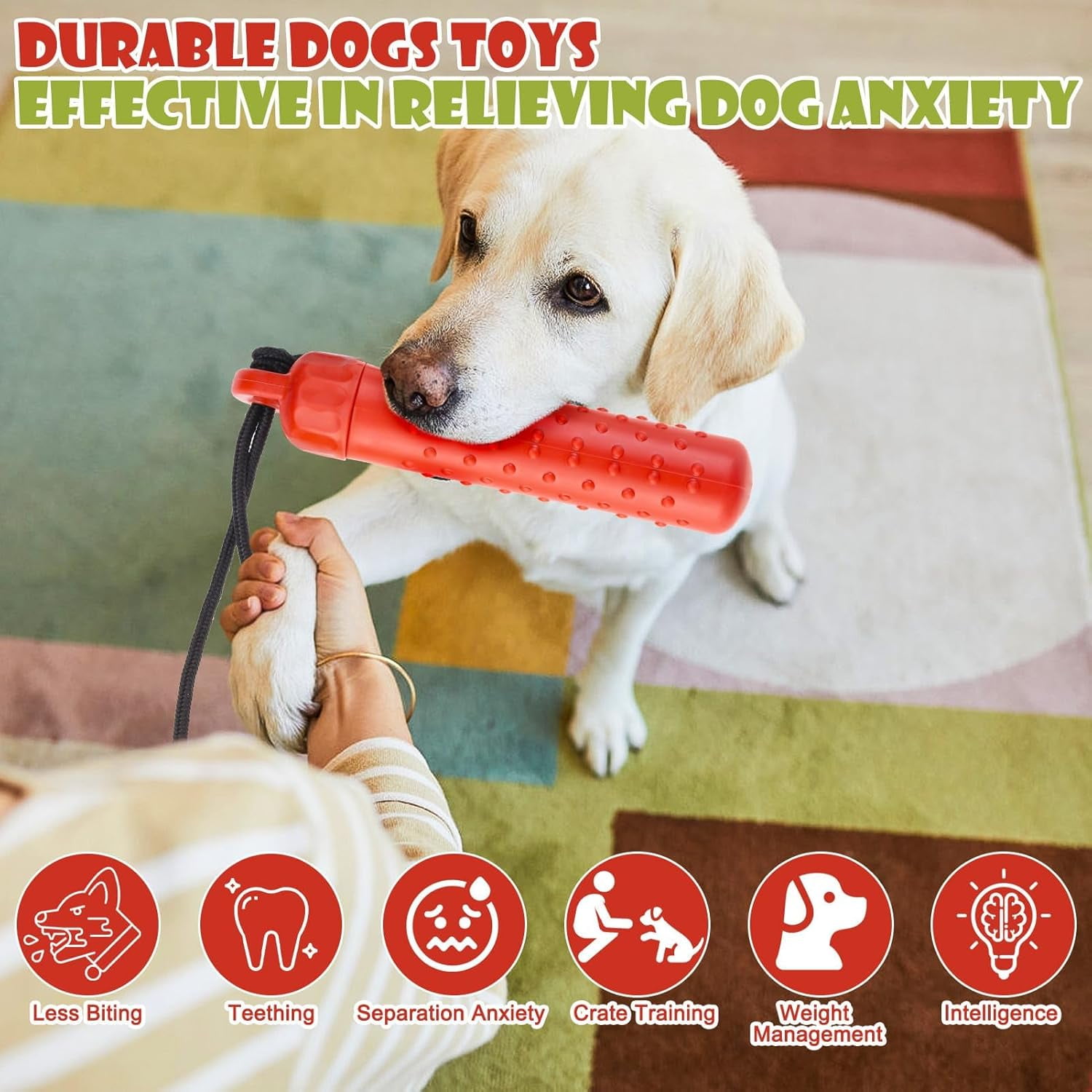 Dog Float Bumper Toy 2 Pack,9.3 Inch Detachable Treat Dispensing Puzzle Toys,Training Dummy Retrieving Bumpers Summer Pool Toy Tug Game,Interactive Toys for Medium Large Dogs(Red & Green)