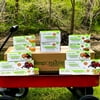 Earth Guardian Deluxe All-In-One Certified Compostable Bundle Pack