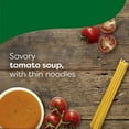thumbnail image 6 of Knorr Sopa/pasta Soup Mix Tomato Based Noodle Soup 3.5 oz (Pack of 16), 6 of 10