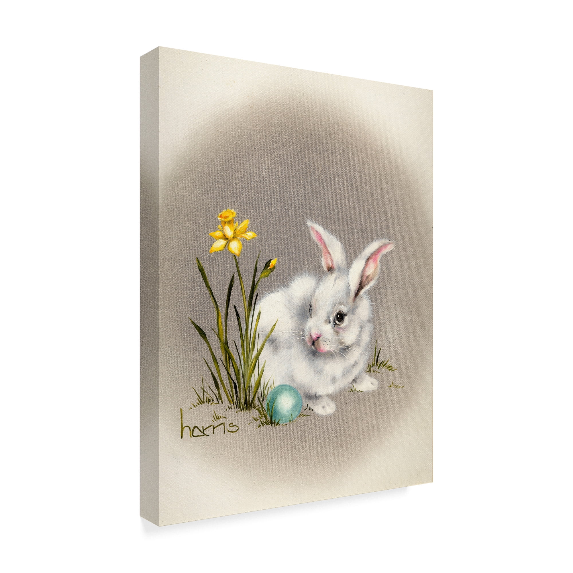 Trademark Fine Art 'Spring Is Ear' Canvas Art by Peggy Harris