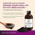 thumbnail image 4 of Ethiopian Black Seed Oil 4.2oz (GLASS), 4 of 9