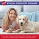 thumbnail image 5 of Pet Bowl Ethical Products SPOT, cerámica de gres para gatos y, 5 of 6