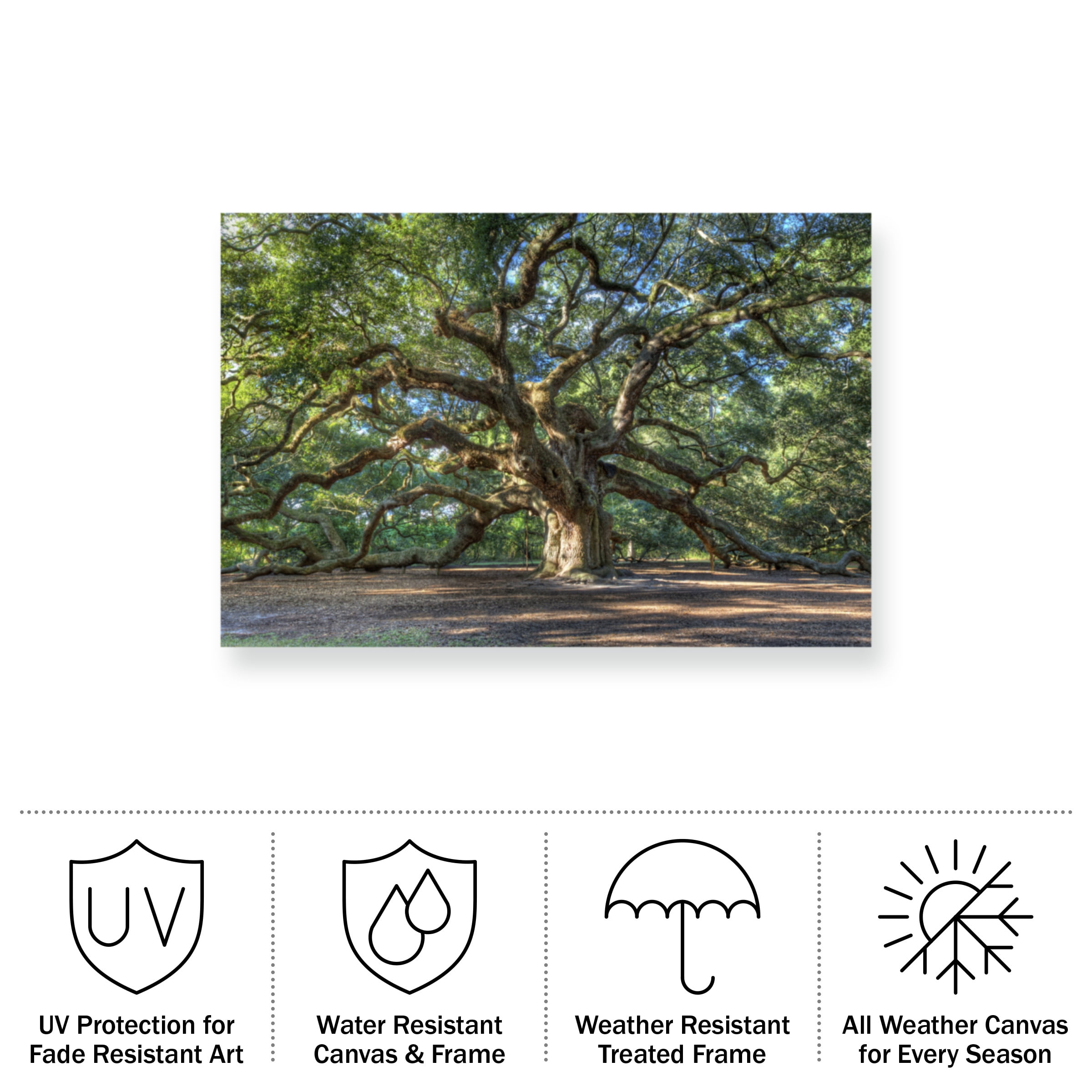 Pierre Leclerc 'Angel Oak Charleston' Outdoor All-Weather Wall Decor