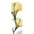 thumbnail image 2 of Koetsier, Albert 11x24 Black Ornate Wood Framed with Double Matting Museum Art Print Titled - Hibiscus Yellow, 2 of 4