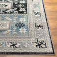 thumbnail image 2 of Hauteloom Sultanbeyli Living Room, Bedroom Area Rug - Traditional - Taupe, Black, Teal - 8'10" x 12', 2 of 6