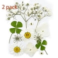 thumbnail image 1 of Hojas de margaritas secas naturales reales con pinzas para manualidades, velas, accesorios, creaciones artesanales de joyería (modelo blanco), 1 of 5