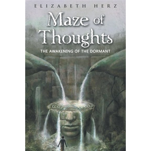 Pre-Owned Maze of Thoughts: The Awakening of the Dormant (Paperback) 1982202920 9781982202927