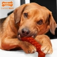 thumbnail image 2 of Nylabone Fun 'n' Fit Rubber Braided Bone, 2 of 4