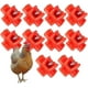 thumbnail image 5 of 10 comederos de agua para pollos con boquilla, bebederos automáticos para pollos, cuencos de plástico para beber., 5 of 5