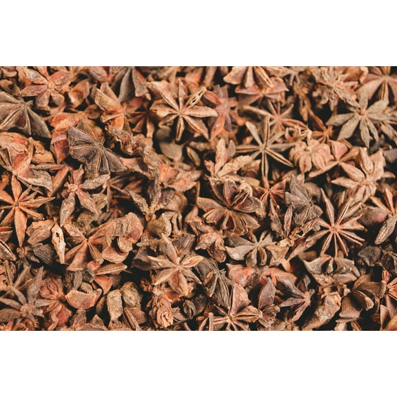 Anise Seeds/ Annual/ Part Shade/9750 Seeds 1/4 oz/ Zellajake Farm and Garden - B101