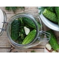 thumbnail image 3 of Hoosier Hill Farm Alum Granulated Pickle Powder, 1 lb Jar, 3 of 5