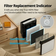Coway Air Purifier Airmega 200M True HEPA with 361 sq. ft. Coverage in Black