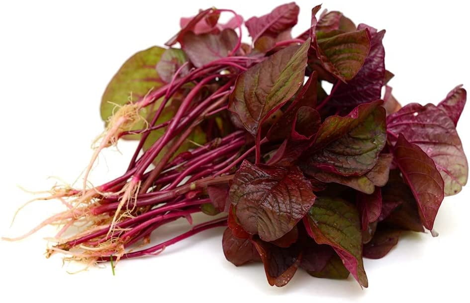 Red Spinach Seeds for Planting 500+ Seeds Ships from Iowa, USA