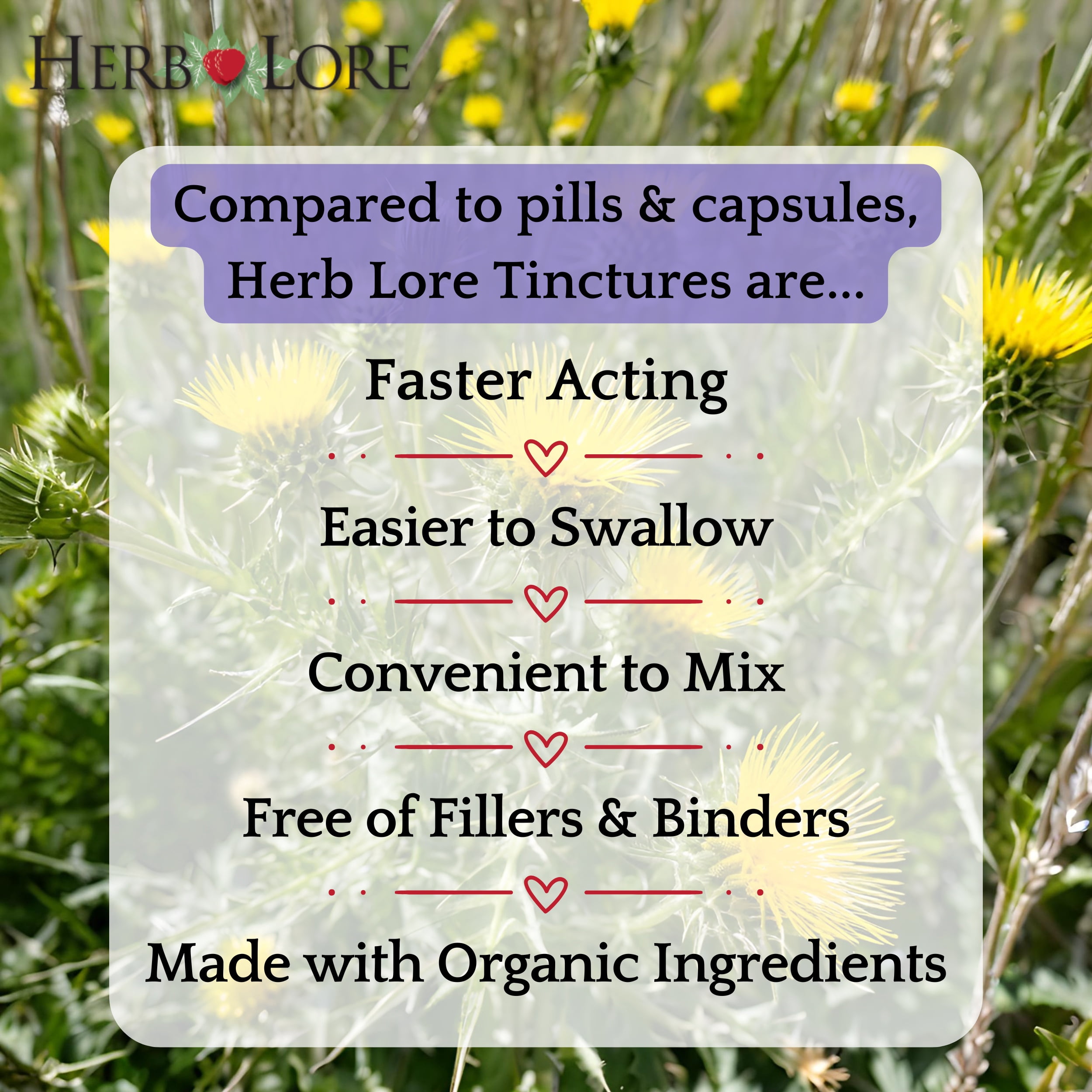 Herb Lore USDA Organic Blessed Thistle Extract Tincture (Cnicus benedictus) - Liquid Breastmilk Supplement for Lactation Support