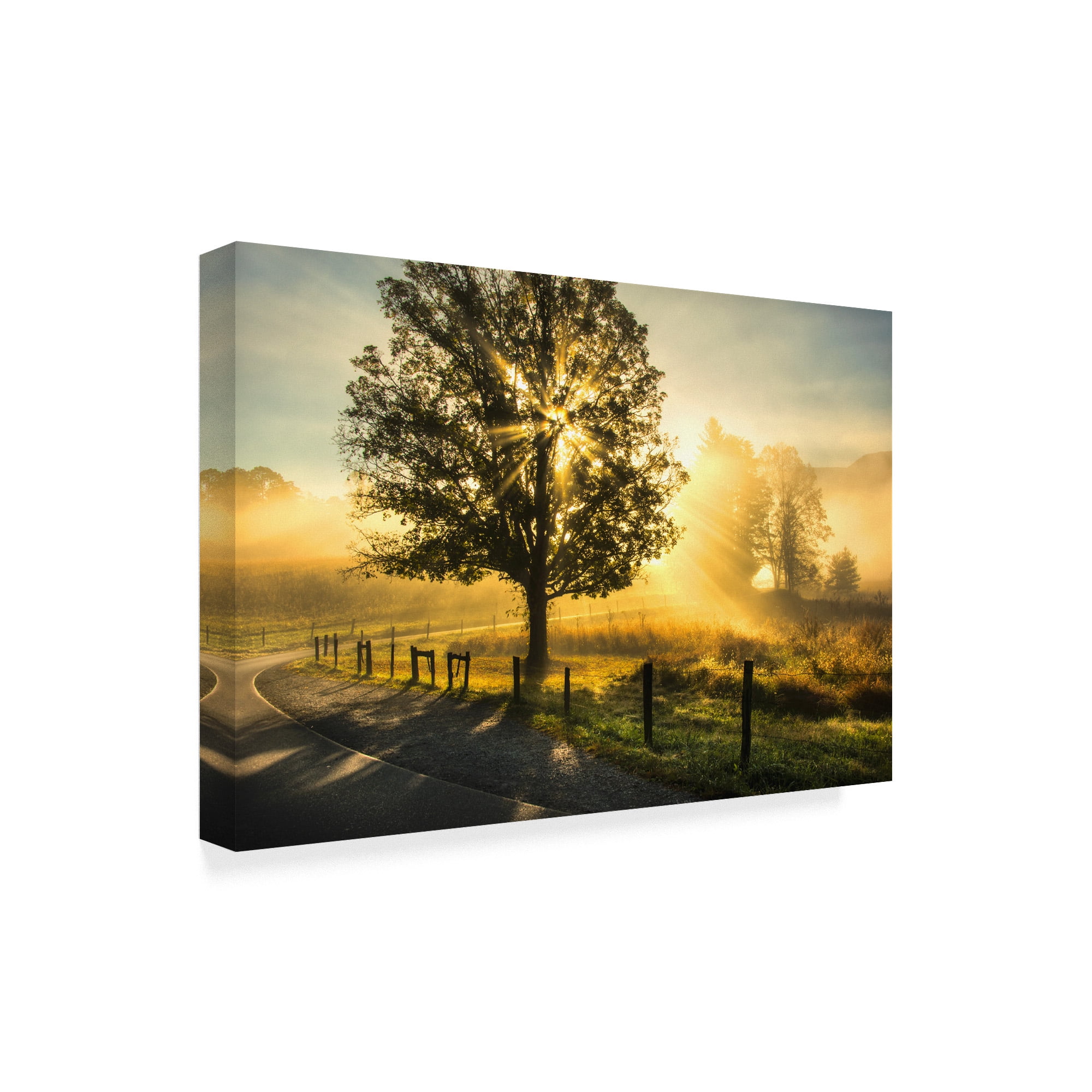 Trademark Fine Art 'Wake Up Call Country Road' Canvas Art by Danny Head
