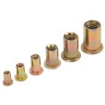 thumbnail image 1 of Rivet Nut Set220pcs / Box Zinc Insert Nut Zinc Plated Rivet Nut Built to Last, 1 of 5