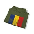 thumbnail image 4 of Romania Romanian Flag Pride Hoodie, Gifts, Hooded Sweatshirt, 4 of 4