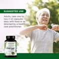 thumbnail image 5 of Emerald Labs Olive Leaf - Helps Support Immune Health - 60 Vegetable Capsules, 5 of 7