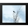 thumbnail image 2 of Popcorn 18x15 Black Modern Framed Museum Art Print Titled - Bird Silhouette: Original, 2 of 5
