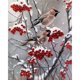 thumbnail image 2 of Cuadros Decorativos Punto de cruz completo 11CT hilo de algodón DIY impreso bordado Kits Snow Bird Craft Ehuebsd embutido en tela, 2 of 9