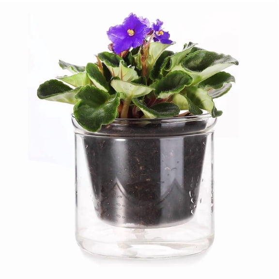 4 Inch Self Watering Pot,African Violet Pot,Bottom Watering Glass Planter for Indoor Plants and Progagation