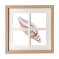 thumbnail image 1 of Escargot Vie Marine Coloré Illustration Cadre Mur Table Affichage 4 Ouvertures Image, 1 of 3
