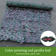 Privacy Fence Screen Hedges Fence Vine Leaf Decoration Clear Heavy Duty