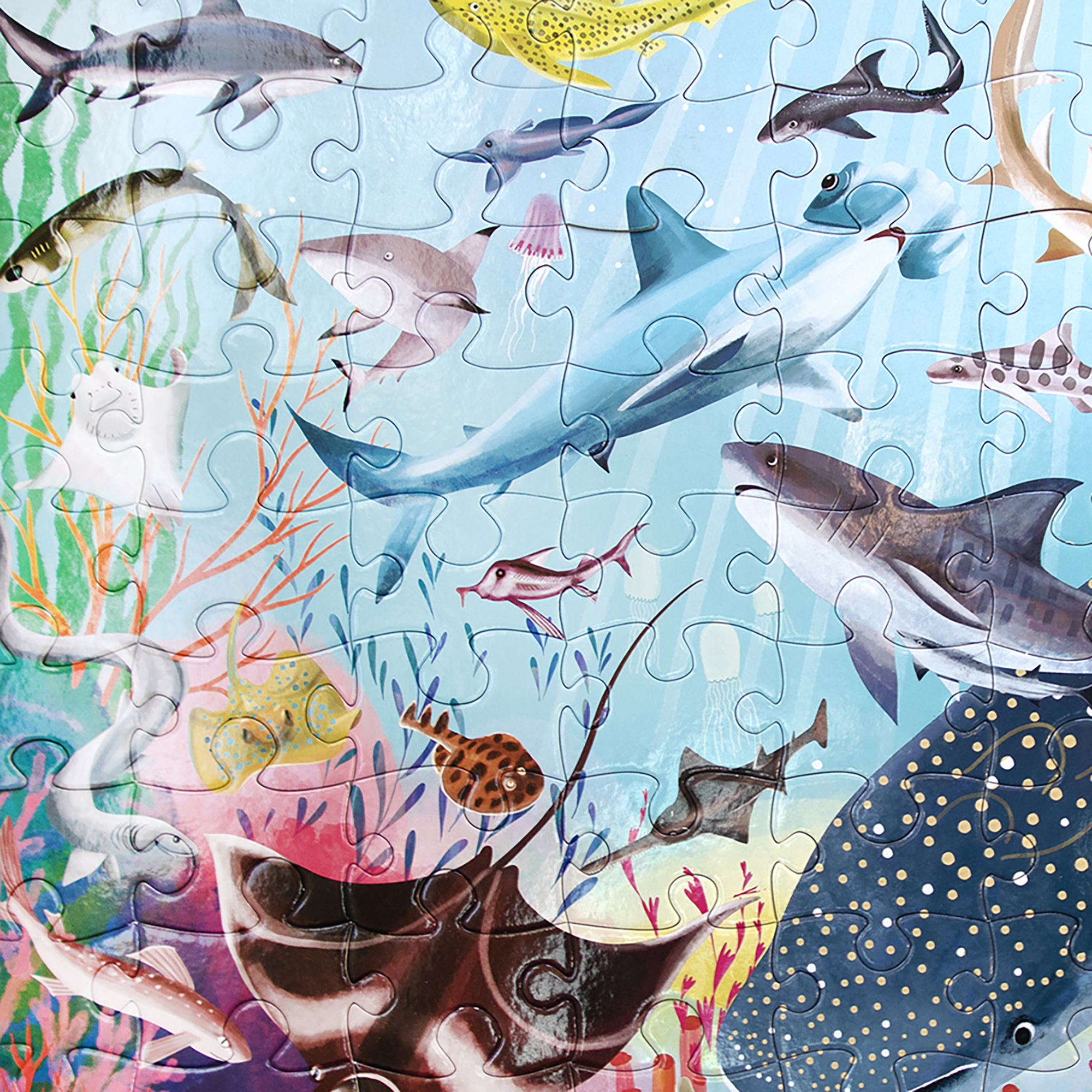 eeBoo Love of Sharks 100 Piece Puzzle with Poster for Kids, 27" x 18" once completed, 5 Years and Up.
