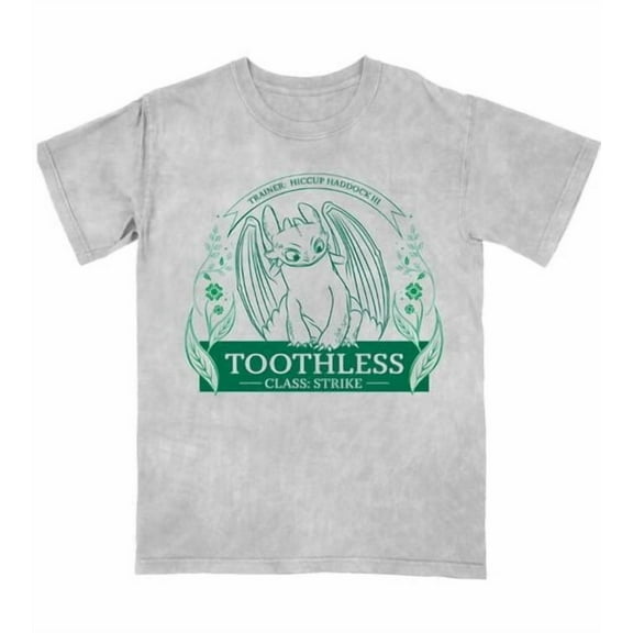 How To Train Your Dragon Toothless Leaf Circle Women's Gray Mineral Wash Crew Neck Short Sleeve T-shirt-XXL