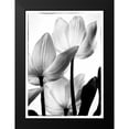 thumbnail image 2 of Van Swearingen, Debra 14x18 Black Modern Framed Museum Art Print Titled - Translucent Tulips III, 2 of 5