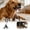 A, variant on Fall Squeaking Soft Chew Toy for Dogs Interactive Teething Puppy Pet Training