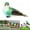 Mix Color, variant on Chicmine Mini Fake Birds Artificial Feather Foam Bird Christmas Ornament Garden Decoration Miniature Gardening Fake Bird Xmas Tree Decoraation for Garden Branches Wedding Party Decoration