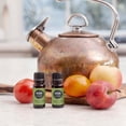 thumbnail image 2 of Edens Garden Oregano Essential Oil- 100% Pure Premium Grade, Undiluted, Natural, Therapeutic, Aromatherapy, The Best for Diffuser, Candle, Laundry, Humidifiers 30 ml (1 fl oz), 2 of 8