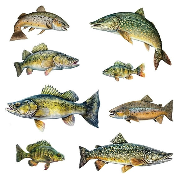 Fish Wall Decals - Brown Trout, Walleye, Yellow Perch, Northern Pike - Wall Stickers - Fly Fishing Decor