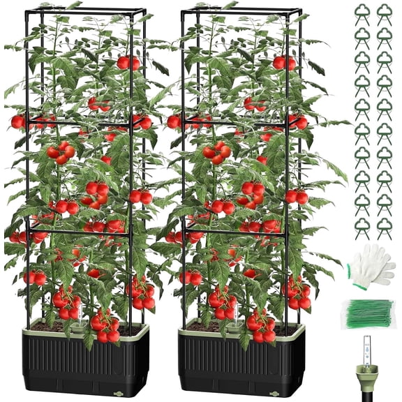 Self Watering Rectangular Tomato Planter with Trellis, 1PC for Indoor Outdoor Garden Patio (Rectangular, 2PC)