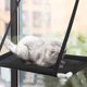 thumbnail image 3 of Cat Condo Tower with Hammock Bed and Scratching Post, 3 of 4