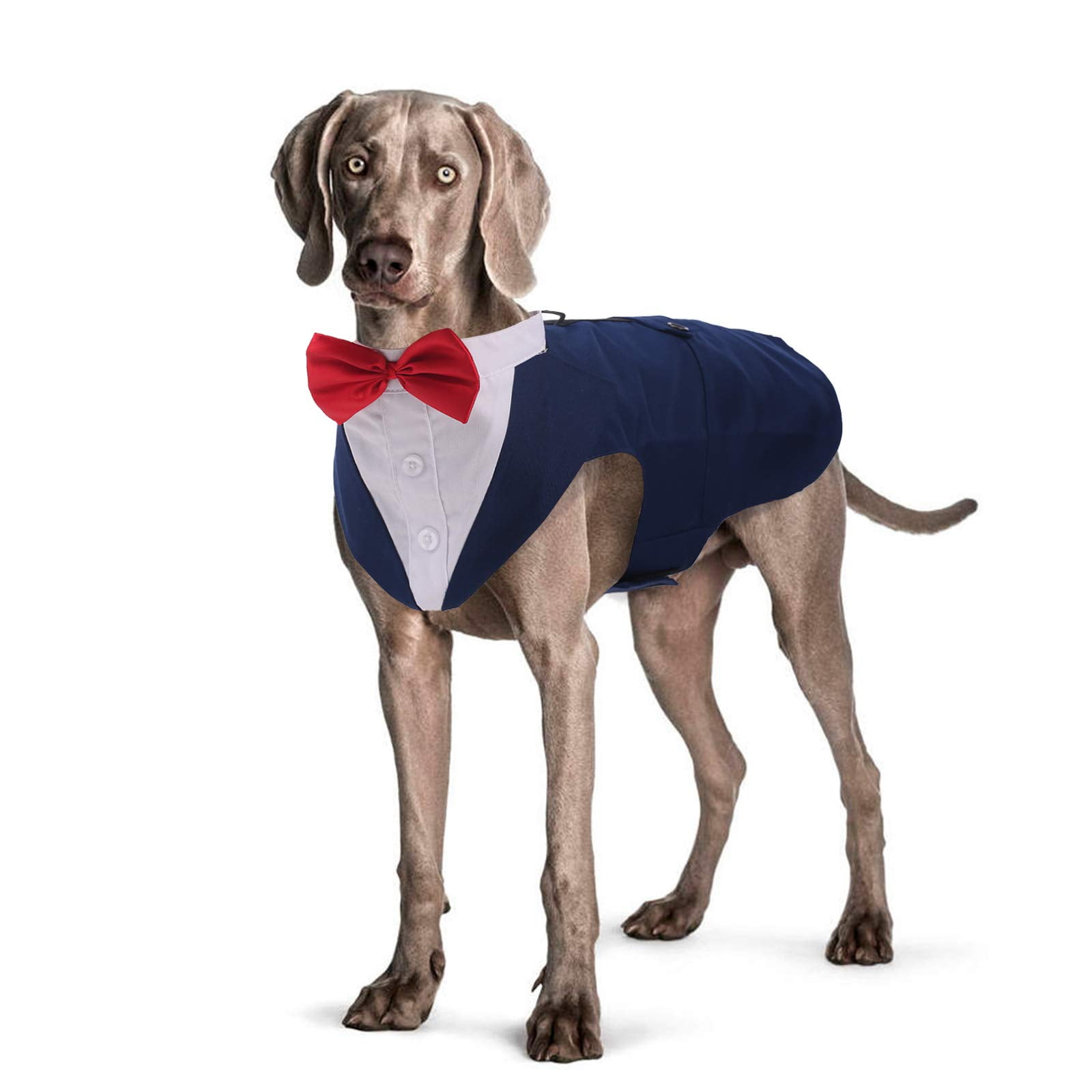 ROZKITCH Dog Formal Tuxedo Suit Costume with Collar Bandana Bow Tie Set