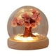 thumbnail image 1 of Lámpara de noche DIY, lámpara de mesa, lámpara para dormir, decoración, luz ambiental, flor, noche melocotonero, 1 of 9