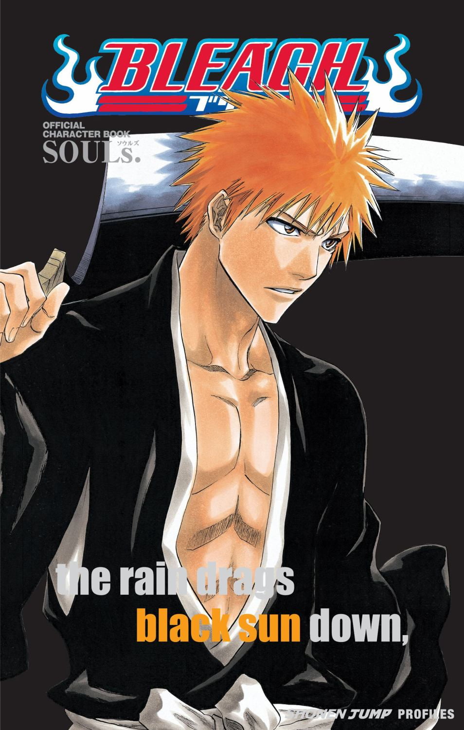 Tite Kubo: Color Bleach+: Bleach Official Bootleg, 184 pages
