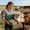 Green, variant on Plastic Livestock Salt Lick Holder - Durable Mineral Block Feeder for Horses, Cattle, Goats, Sheep & Deer, Easy Install Wall Mount Farm Animal Salt Brick Rack for Barn or Backyard