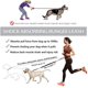 thumbnail image 3 of Correa de perro manos libres para correr, caminar, trotar, entrenar, senderismo, correa elástica retráctil para correr para perros medianos a grandes, cinturón ajustable, 3 of 7