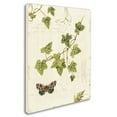 thumbnail image 2 of Trademark Fine Art "Ivies and Ferns II" Canvas Art by Lisa Audit, 2 of 3