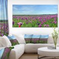 thumbnail image 1 of Panorama du Champ de Coquelicot Violet - Impression sur Toile Florale, 1 of 3